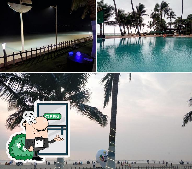The outside area is an important feature of Gadda Da Vida