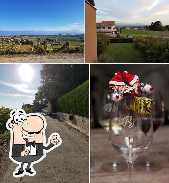 Oenothèque Bar Lounge Cave Beetschen