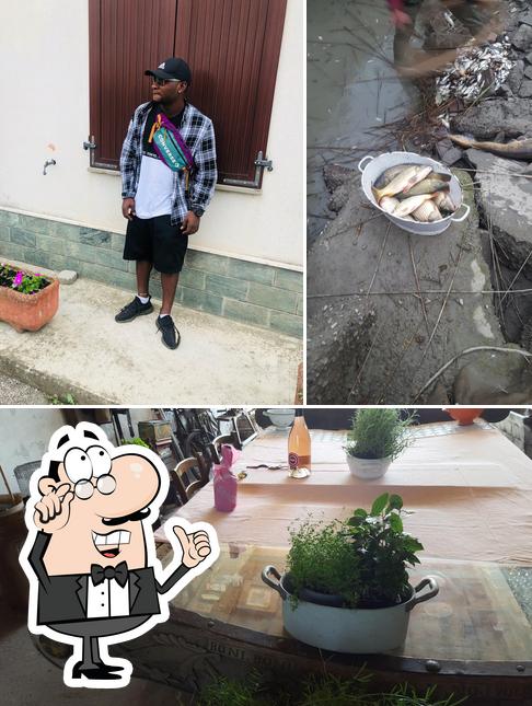 Questa è la foto che mostra la interni e pesce di Boccazzi Roberto