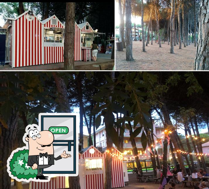 Puoi goderti l'aria fresca da seduto all'esterno di Chiosco Pineta