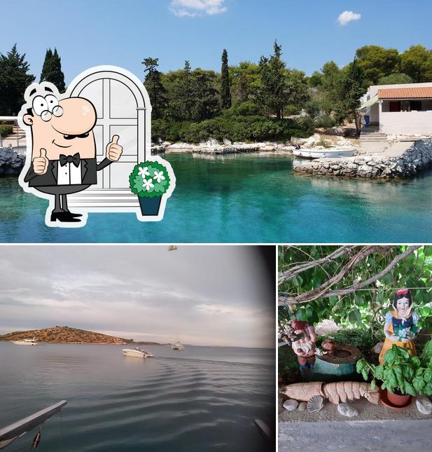 Gli esterni di Konoba Vison
