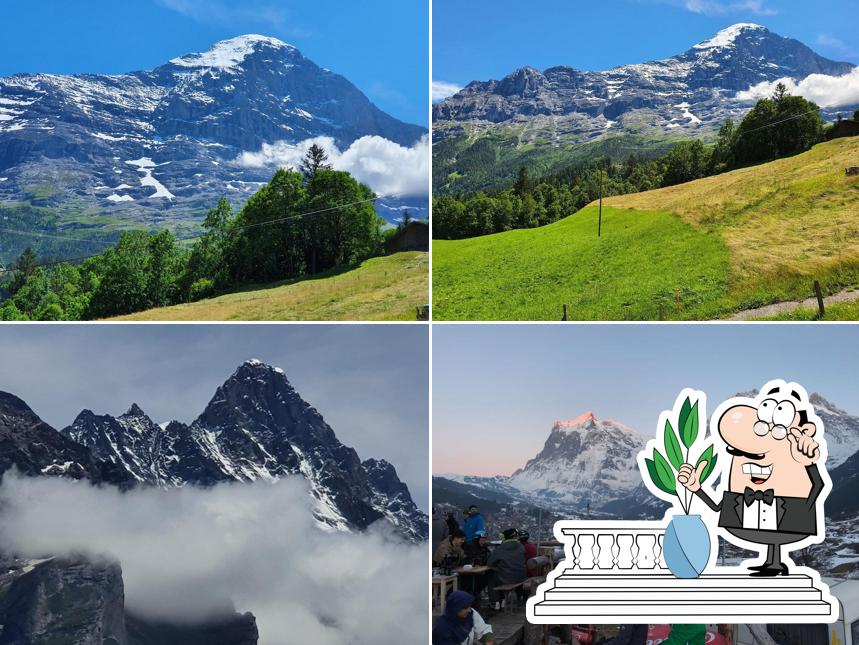 Gli esterni di Holzerbar