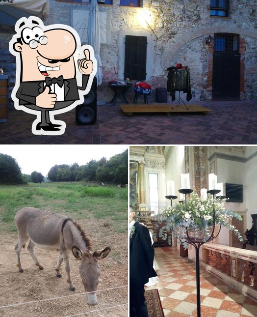 Vedi questa immagine di Club Tresine
