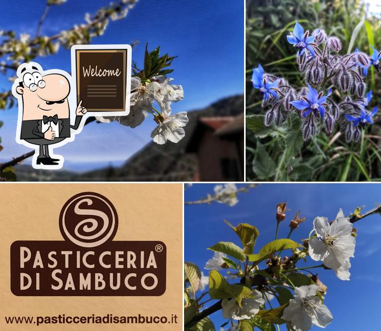 Vedi la foto di Pasticceria di Sambuco