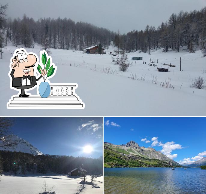 Guarda gli esterni di Camping Maloja Plan Curtinac