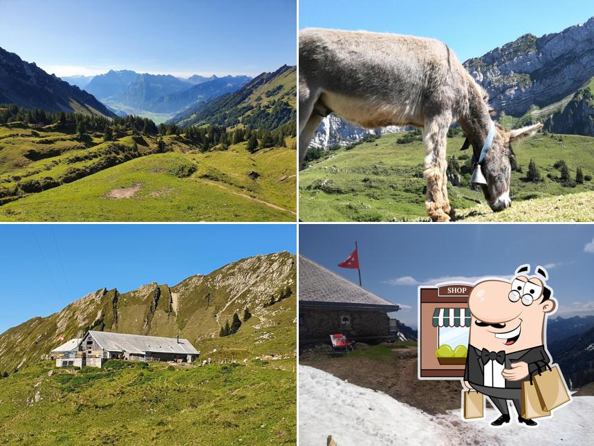Alp Oberkäseren