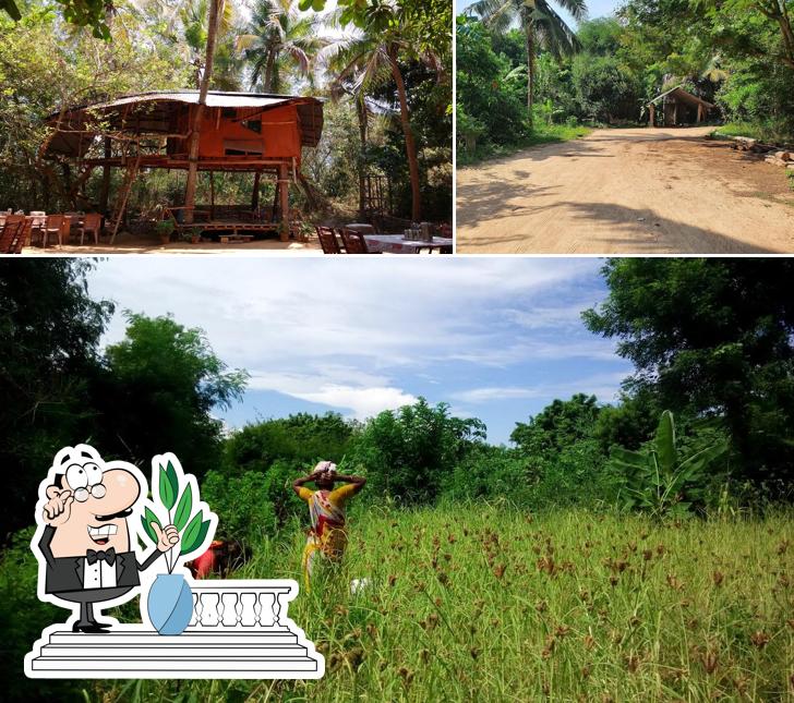 Check out how Solitude Farm of Auroville looks outside