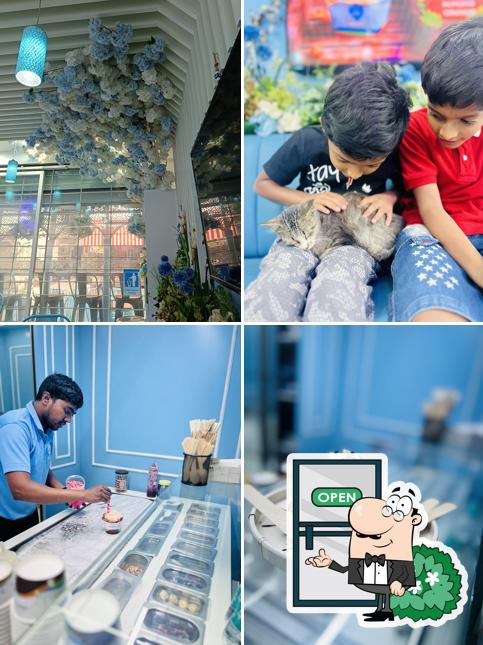 Iceberg Organic Icecreams