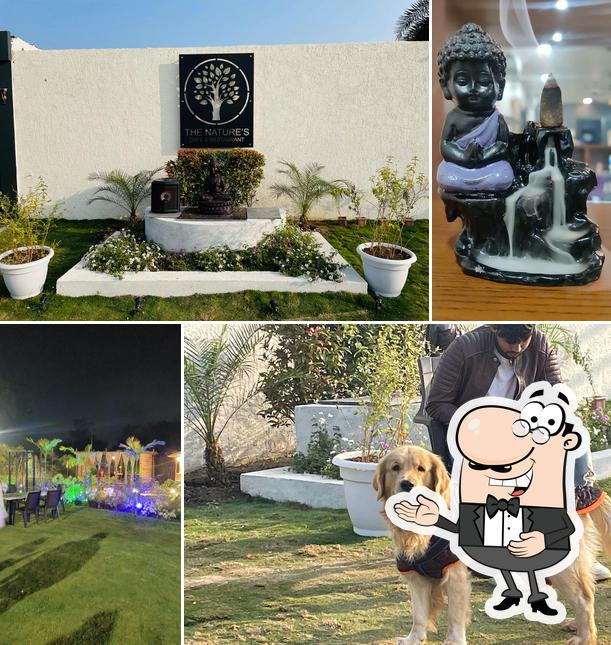 NATURE’S CAFE & RESTRO