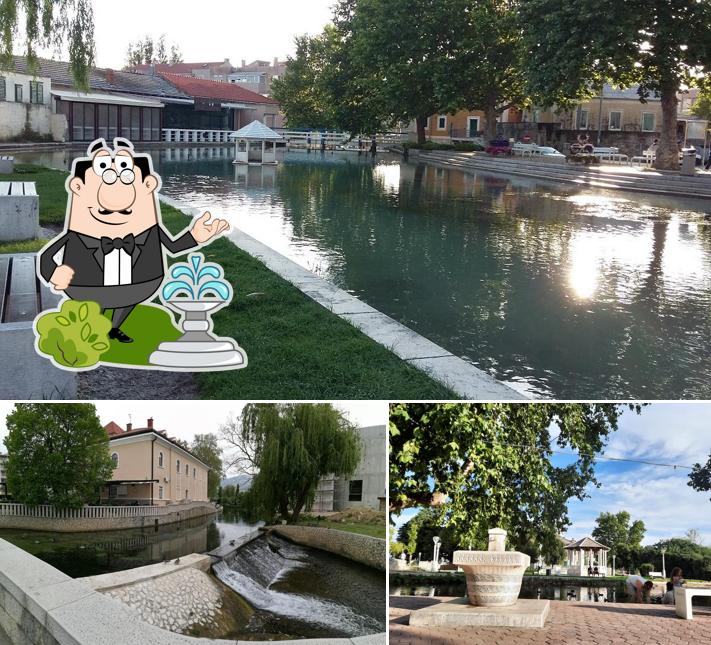 Goditi la vista dall'area esterna di Dvi Palme