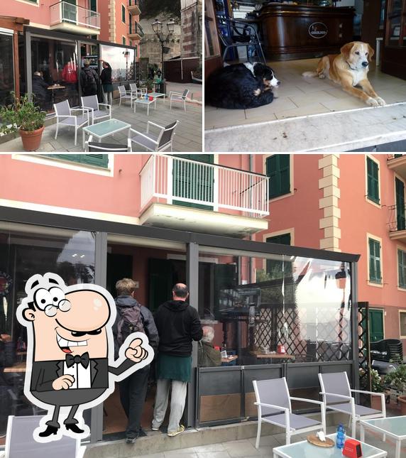Dai un'occhiata agli interni di Cocoloco
