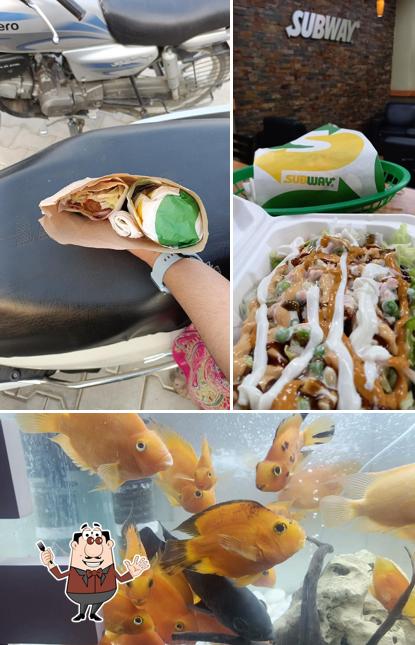 Meals at Subway Moga Meals at Subway Moga