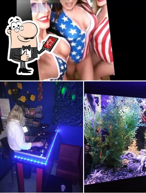 Ecco un'immagine di Blue Moon Night Club