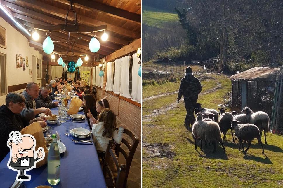 Vedi questa immagine di Ristorante dell'Agriturismo Cà Melucci