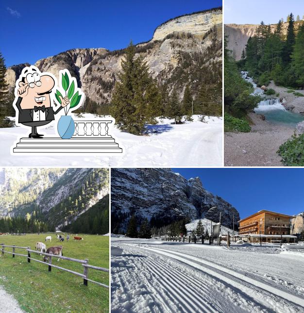 Guarda gli esterni di Albergo Alpino Pederü Berggasthaus