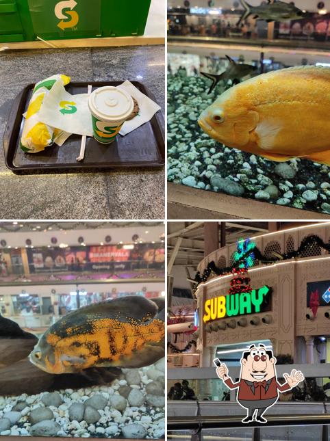 Food at Subway Z Square Mall