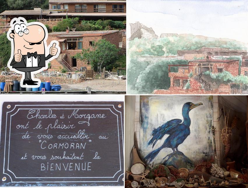 Le Cormoran