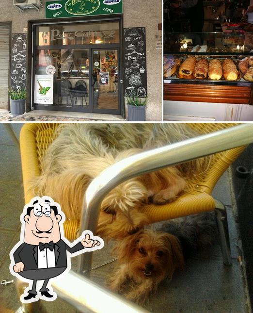 Questa è la foto che mostra la interni e cibo di Le Petit Cafè