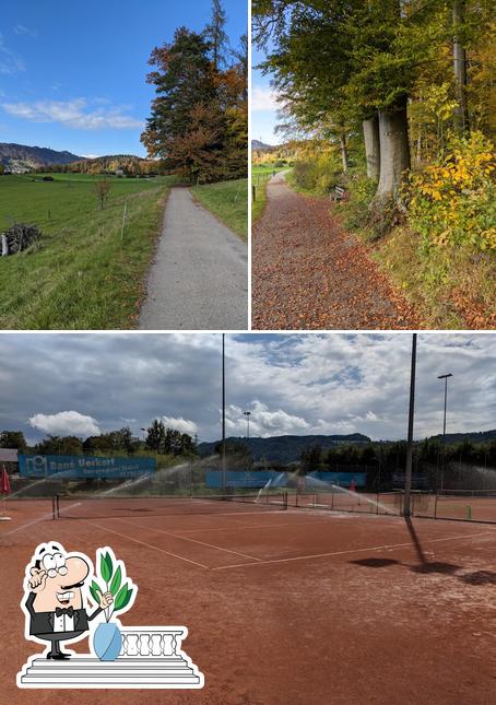 Tennisclub Thalwil