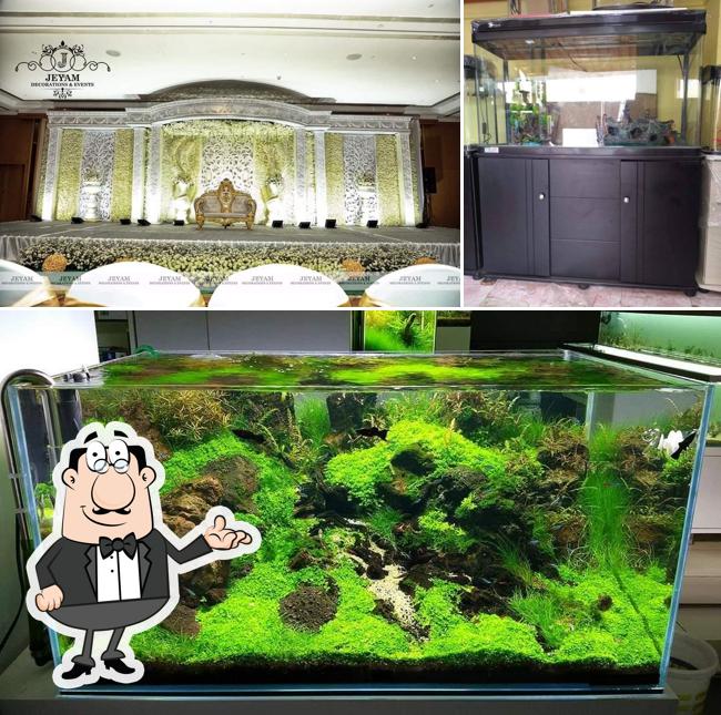 The interior of செந்தூர் ஶ்ரீ சிமாட்டி fish aquarium