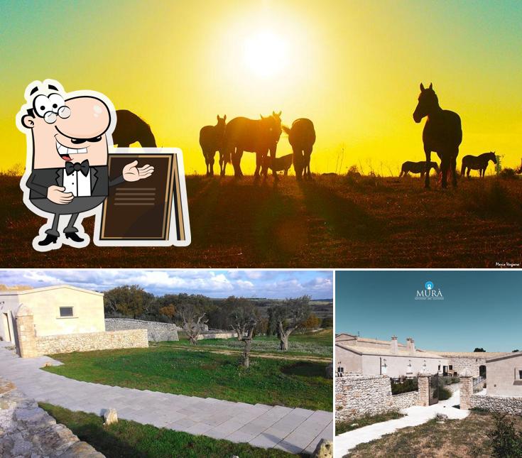 Goditi la vista dagli esterni di Murà Masseria