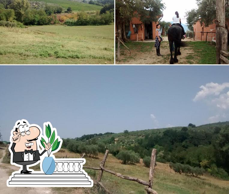 Gli esterni di Forno a legna di Desideri Graziella