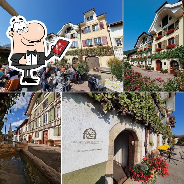 Weingut Andrey Schafis