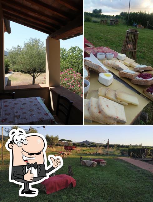 Guarda la immagine di Agriturismo Quattro Pini