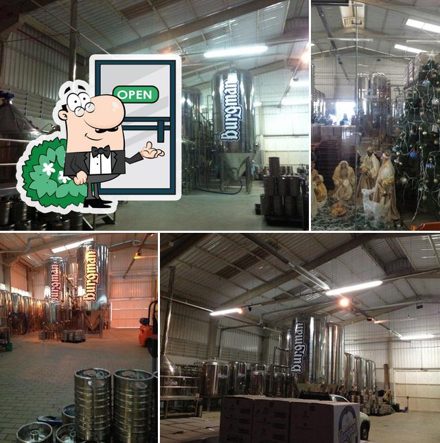 O exterior do Burgman Beer