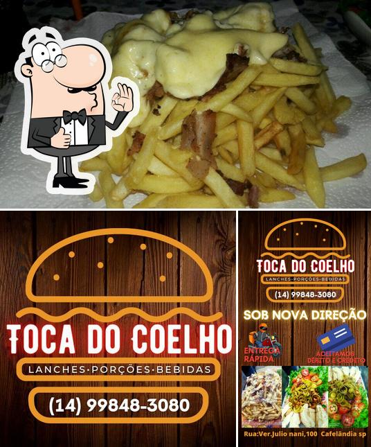 Toca do coelho
