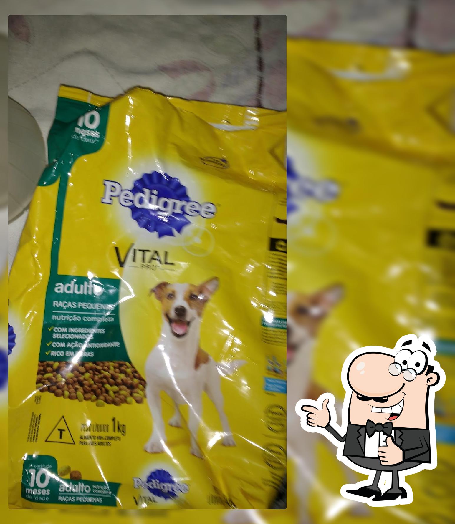 Padaria Pães e Cia