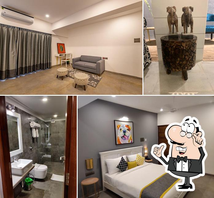 The Bark - An Art Resort