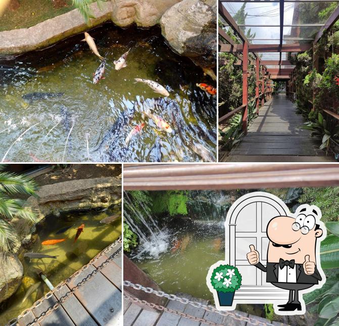 Pingus Buffet e Restaurante