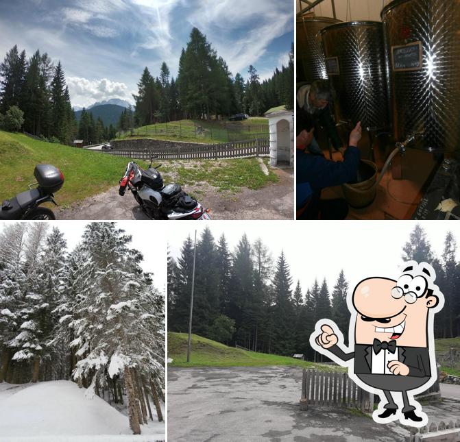 Agriturismo Ai Lares Soc. Semplice Agricola