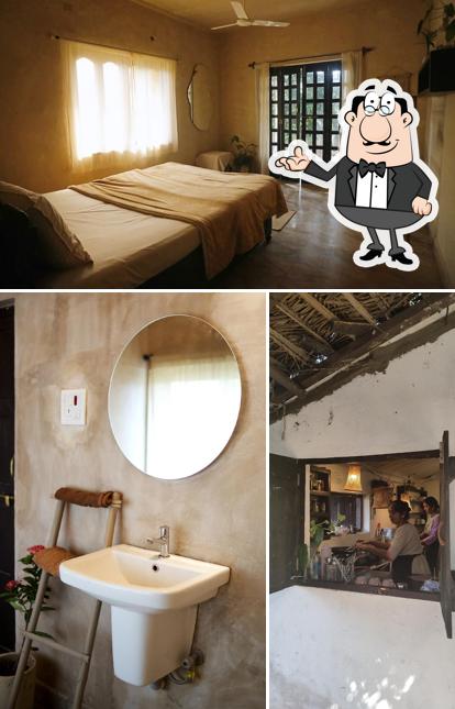 Check out how Palmorama looks inside