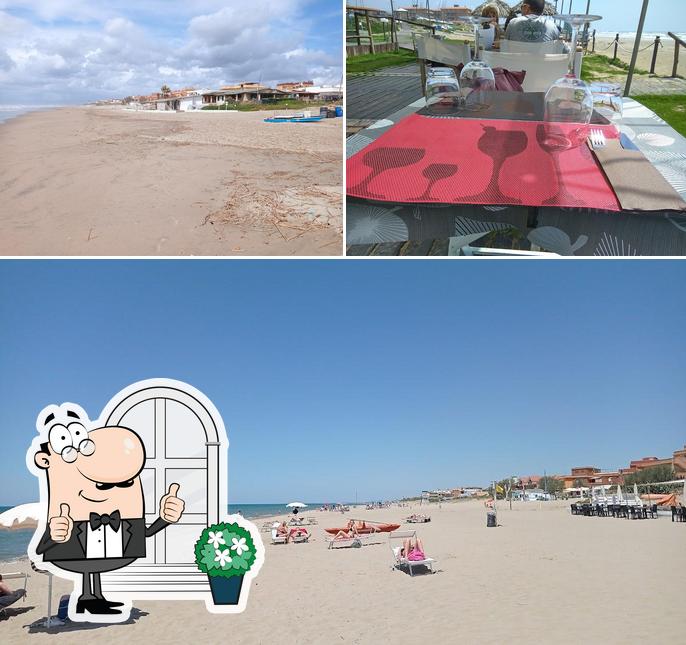La immagine della esterno e interni di BLANKA Playa Cafè