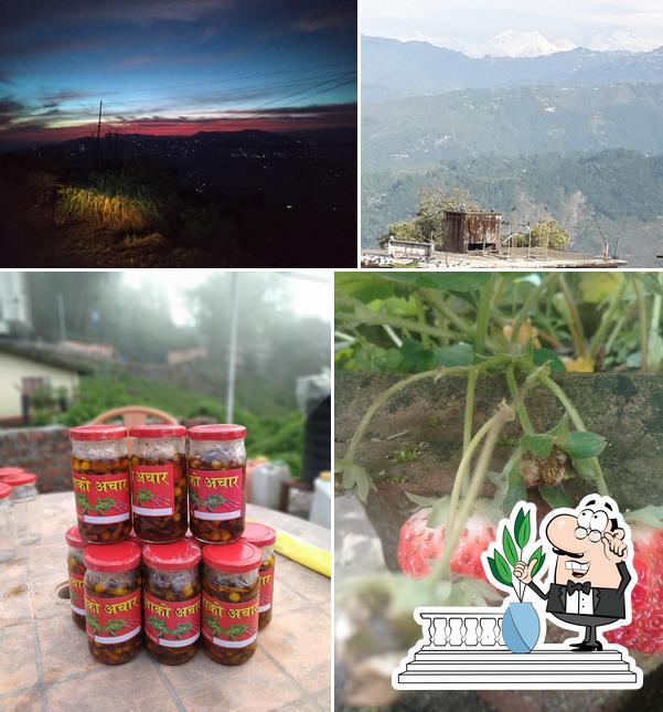 Roshni fast food corner