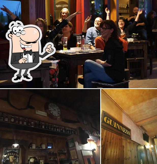 Tra le diverse cose da Birra e Gusto si possono trovare la esterno e bancone da bar