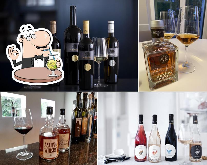 Cantina alla Maggia & Terreni alla Maggia