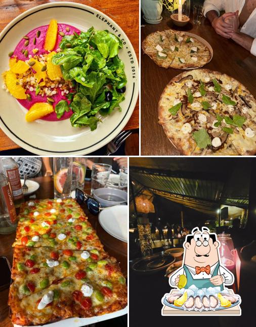 Oysters at Elephant and Co. Anjuna, Goa