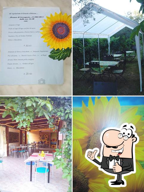 Agriristoro Girasole