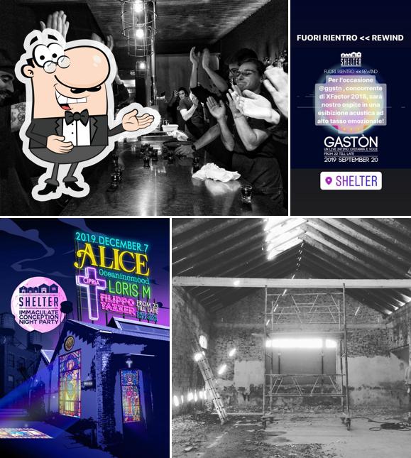 Guarda la immagine di shelter
