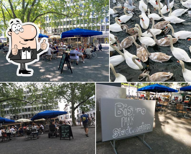 Immagine di Park Stadelhofen