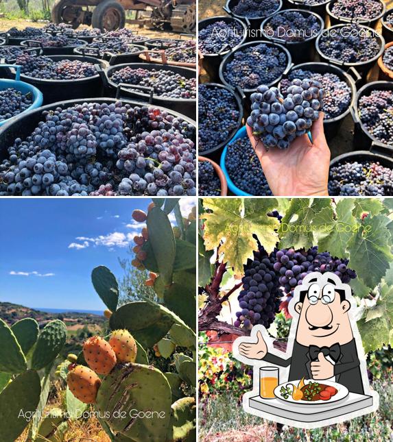 Platti al Agriturismo Domus de Goene Loceri