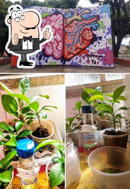 Padaria e Confeitaria BNH