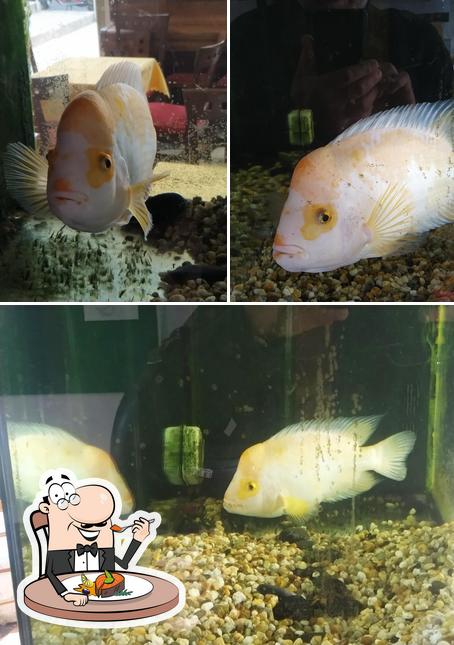 Bar Blu di Via Campanelle serve un menu per gli amanti del pesce