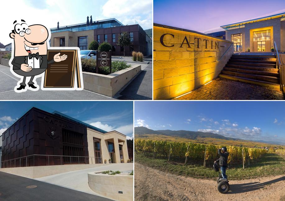 Cattin Grands Vins et Crémant D'Alsace