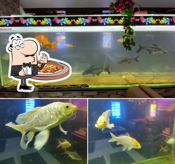 Aithe Biryani Restaurant offers a menu for fish dish lovers