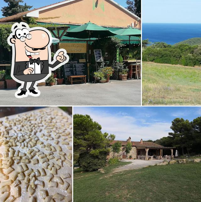 Trattoria Aia Della Vecchia