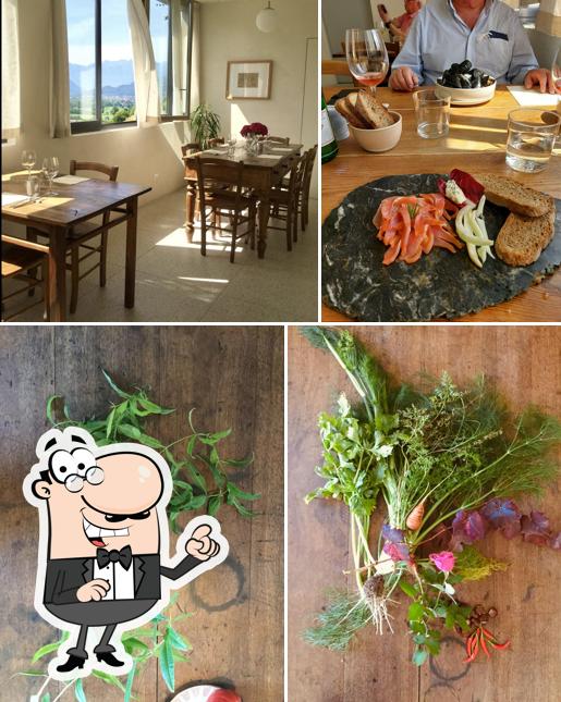 Dai un'occhiata agli interni di Rosmarinocucina